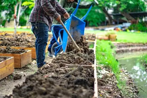 Xây dựng mảnh rau của riêng bạn