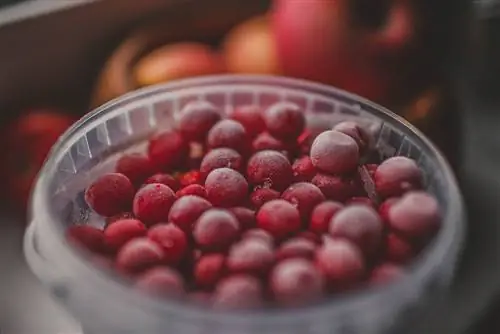 congelamento de cerejas