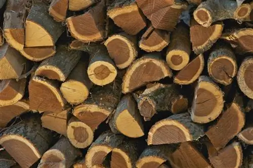 acacia firewood