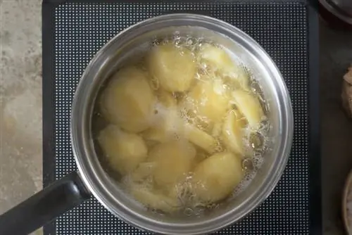 potato water against weeds