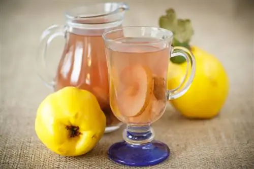 quince এর ঠান্ডা juicing