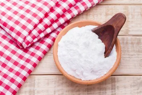 Fight mildew: baking soda as an effective home remedy