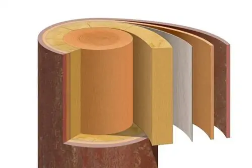 Cambium: Crescita e guarigione delle ferite negli arbusti e negli alberi