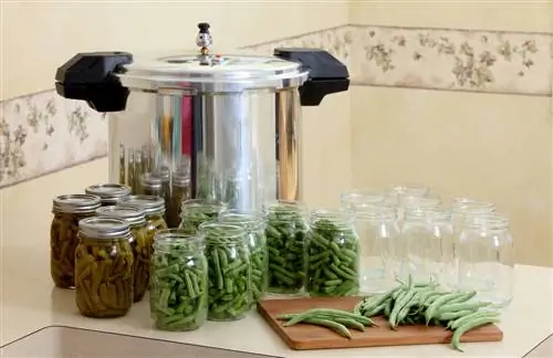 canning beans