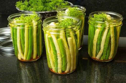 Canning sweet and sour beans: step by step instructions