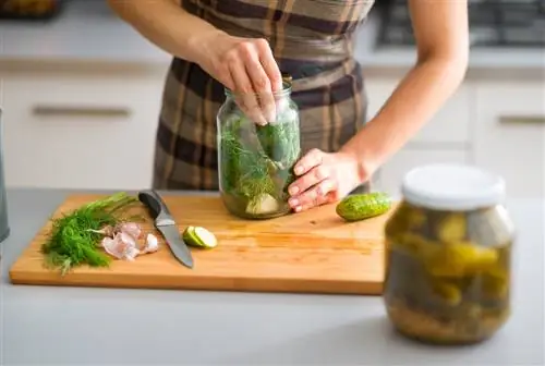 cucumber-canning-sweet-sour