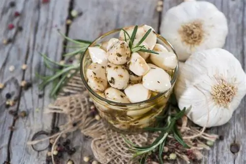 Canning garlic: How to preserve it properly