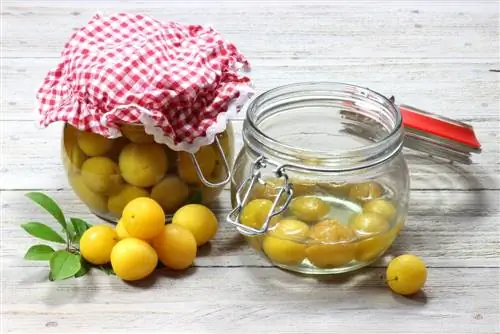 Canning mirabelle plums: Nov yog qhov koj khaws cov txiv hmab txiv ntoo qab zib