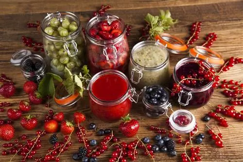 Preserving fruit made easy: Preserving for beginners