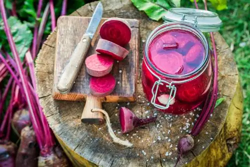 Canning beets: Nov yog qhov koj khaws cov hauv paus zaub