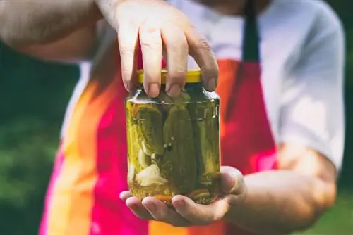 Canning mustard pickles: Make delicious supplies yourself