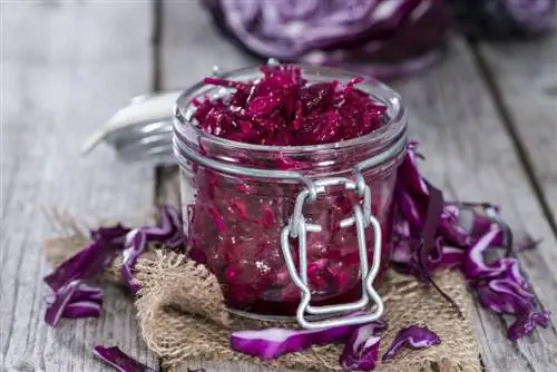 Canning red cabbage