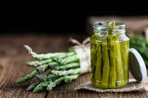 Canning asparagus: Nov yog qhov koj khaws cov zaub qab