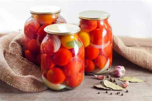 Conservando tomates: instruções passo a passo