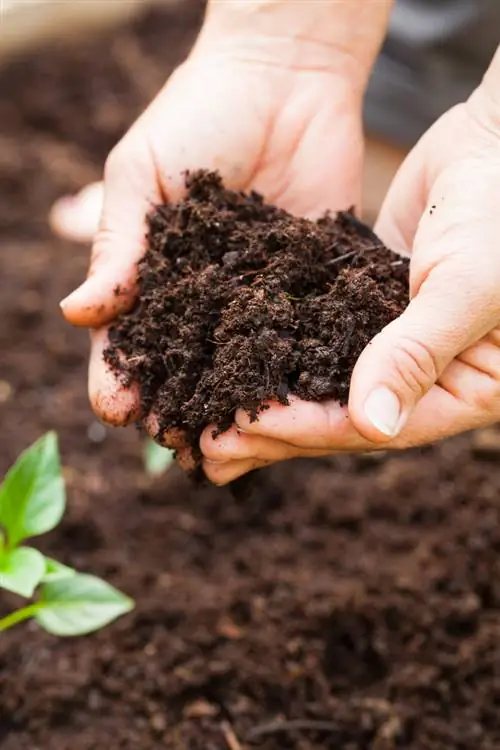 terreno per orto