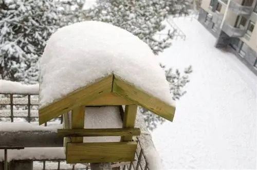 hnízdní budka balkon