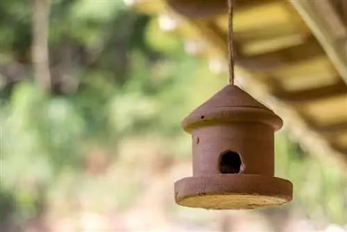 ফুলের পাত্র থেকে তৈরি বাসা বাক্স