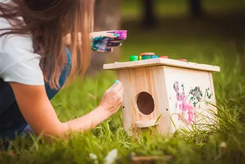 Pagandahin ang nesting box: Aling mga kulay ang bird-friendly?