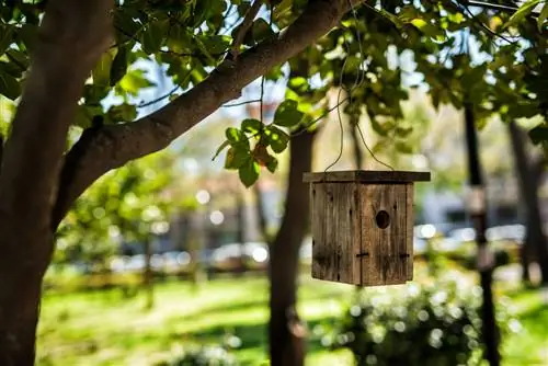 Nesting box is not accepted: Possible reasons & solutions