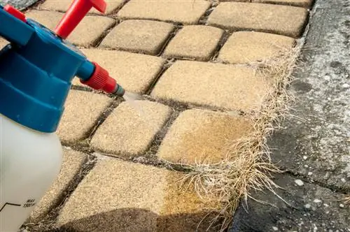 Cloro contra las malas hierbas: ¿efectivo pero perjudicial para el medio ambiente?