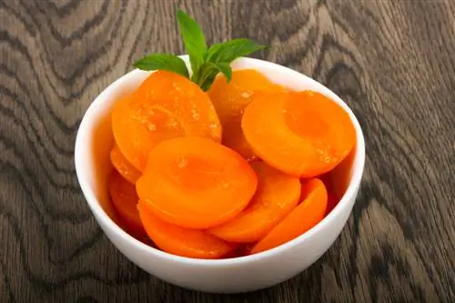 Skinning apricots tau yooj yim: Nov yog qhov nws ua haujlwm