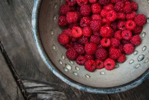 Sauce aux framboises sans pépins : C'est aussi simple que ça d'égoutter les framboises