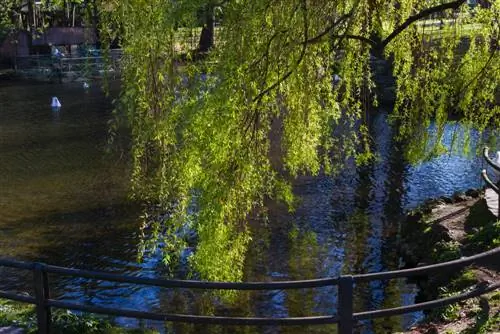 græsningsanlæggets placering