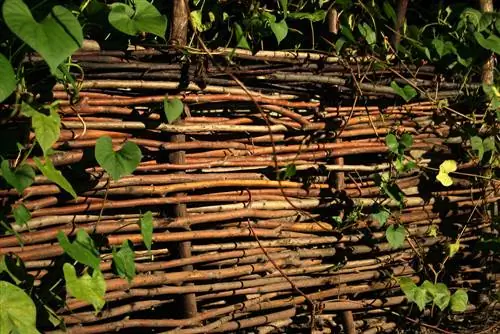 Gör-det-själv wattle-stängsel-bete