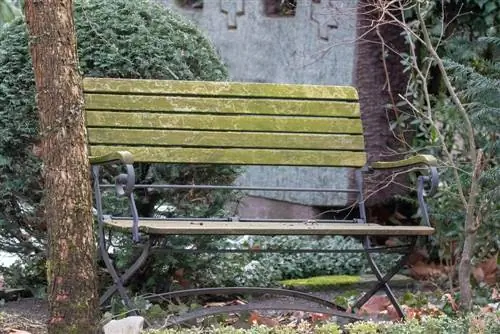 Huismiddeltjes voor het verwijderen van groene chipjes