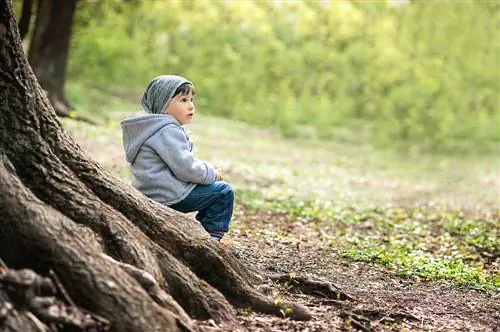 Graikinio riešutmedžio sodinimas: atkreipkite dėmesį į šaknų tipą ir atstumą