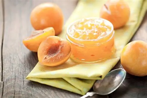 Mirabelle or apricot - what's the difference?