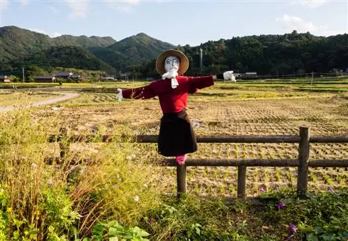 Make a scarecrow: Creative ideas for the garden and balcony