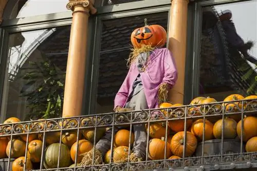 scarecrow balcony