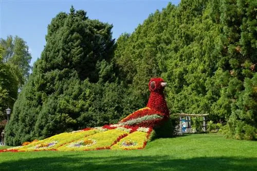 เกาะดอกไม้-mainau