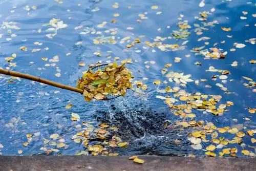 cura de l'estany