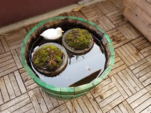 Crea un mini estany