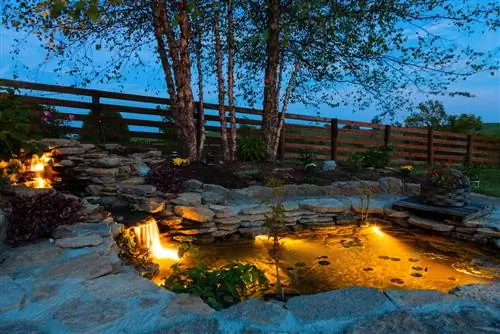 Garden pond lighting: aesthetics and safety combined