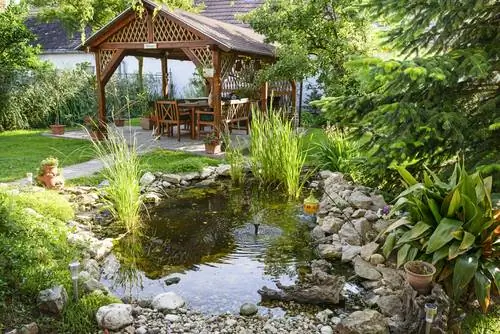 Vuoi creare un laghetto naturale da sogno nel tuo giardino? Ecco come è fatto