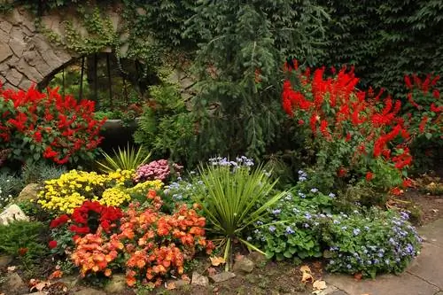 Herfstbloeiers in de tuin