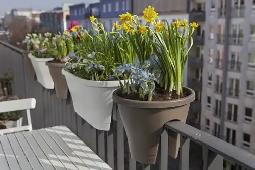 Flores de primavera no vaso