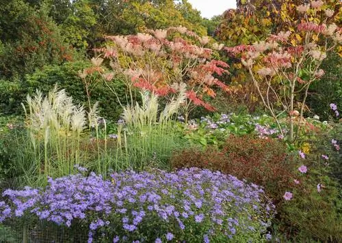 Ornamental grasses in the bed