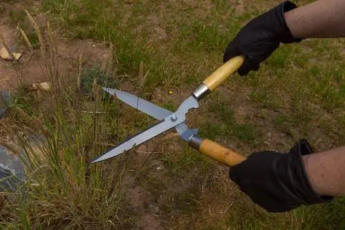 Sny gras maklik gemaak: Dit is hoe dit werk