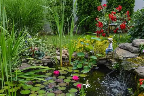 Pond design with aquatic plants: More beautiful and algae-free