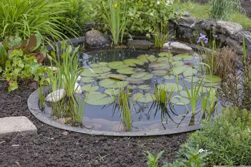 Waterplanten plaatsen