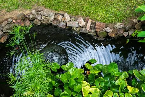 Desain tepi kolam: ide untuk berbagai jenis kolam