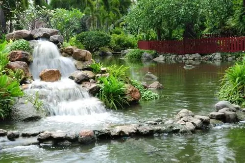 Kolam dengan air terjun: Cara mendesain oasis air Anda