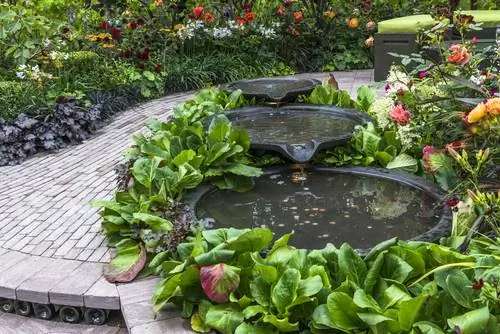 Magdisenyo ng water garden: mga ideya para sa mga lawa, sapa at pool