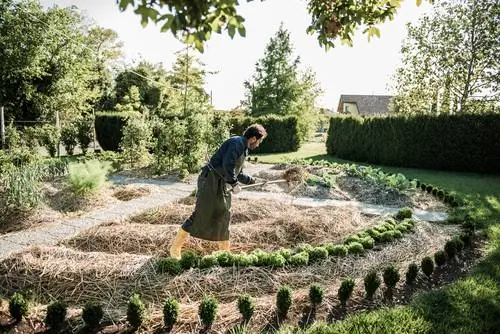 Permacultura na horta doméstica: métodos e dicas de cultivo sustentável