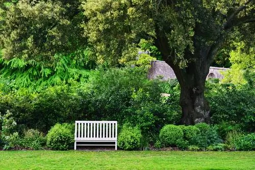 quercia-nel-giardino