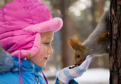 Feeding Squirrels - Everything You Need to Know